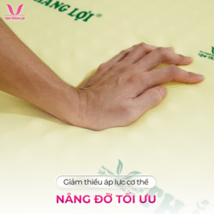 Thiết kế chưa có tên (1)