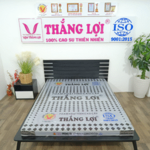 Thiết kế chưa có tên (13)