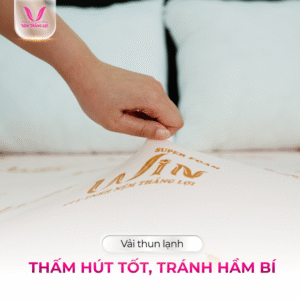 Thiết kế chưa có tên (17)