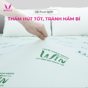 Thiết kế chưa có tên (23)