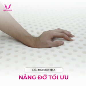 Thiết kế chưa có tên (27)