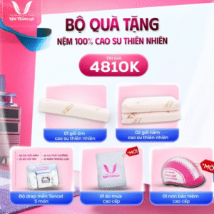 Thiết kế chưa có tên (3)