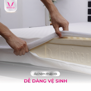 Thiết kế chưa có tên (40)