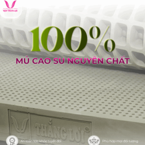 Thiết kế chưa có tên (6)
