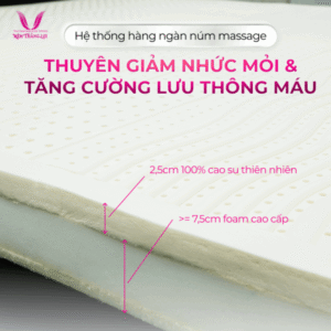 Thiết kế chưa có tên (62)