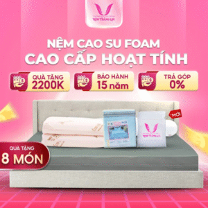 NỆM CAO SU FOAM CAO CẤP HOẠT TÍNH THẮNG LỢI