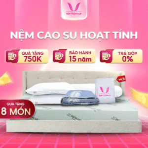NỆM CAO SU NON HOẠT TÍNH THẮNG LỢI