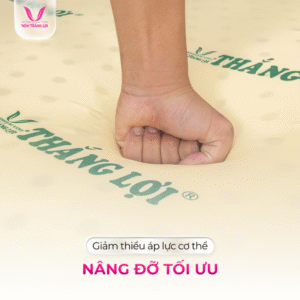 nemcaosunon 3