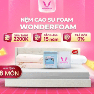 NỆM CAO SU WONDER FOAM THẮNG LỢI